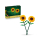 Klocki LEGO® LEGO BOTANICALS 40524 Słoneczniki